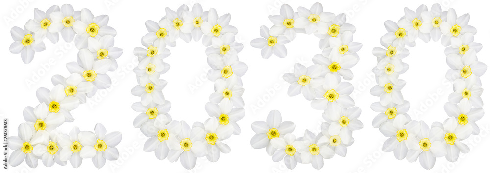 Inscription 2030, from natural white flowers of Daffodil (narcissus), isolated on white background