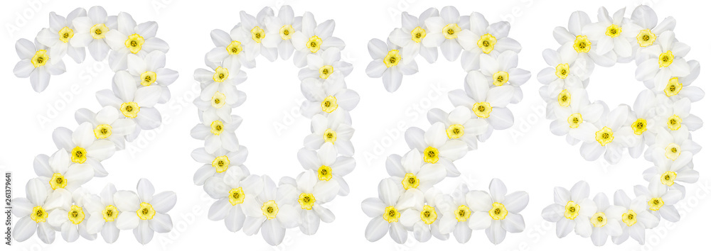 Inscription 2029, from natural white flowers of Daffodil (narcissus), isolated on white background Inscription 2029, from natural white flowers of Daffodil (narcissus), isolated on white background