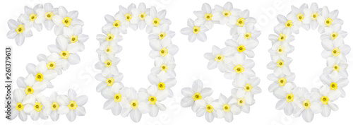 Inscription 2030  from natural white flowers of Daffodil  narcissus   isolated on white background