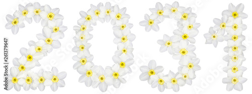 Inscription 2031  from natural white flowers of Daffodil  narcissus   isolated on white background