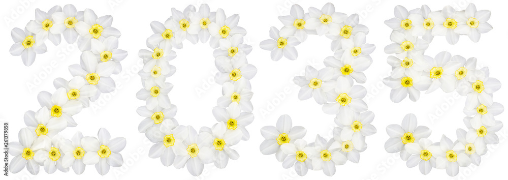 Inscription 2035, from natural white flowers of Daffodil (narcissus), isolated on white background