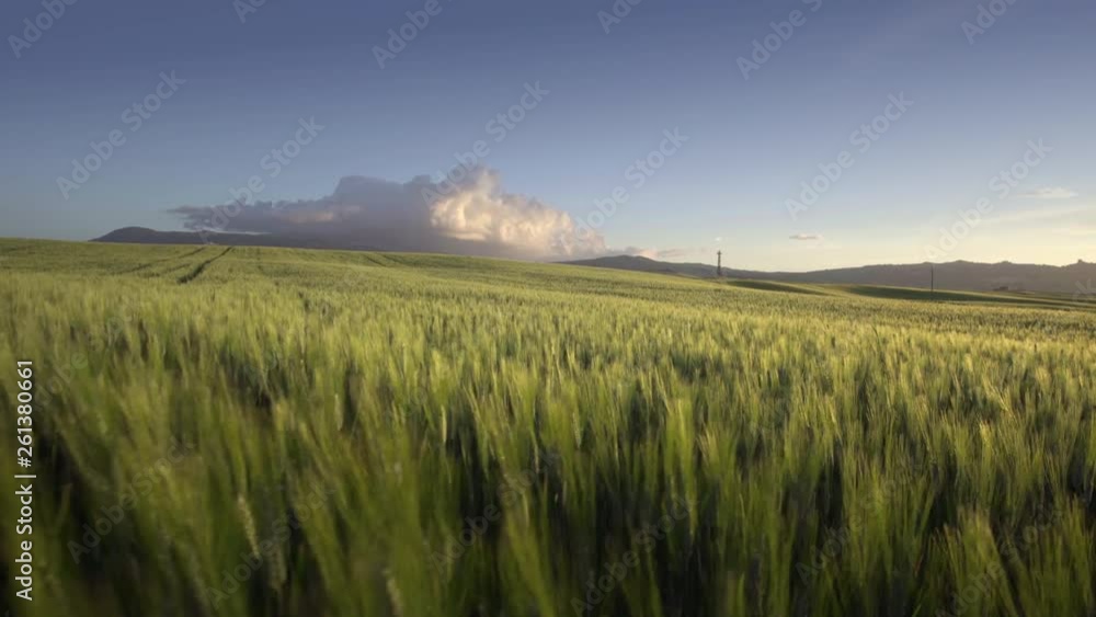 spring sunset in Tuscany, Italy spring sunset in Tuscany, Italy