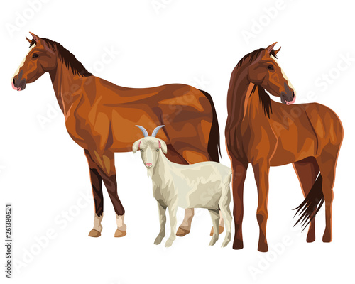 horse and goat