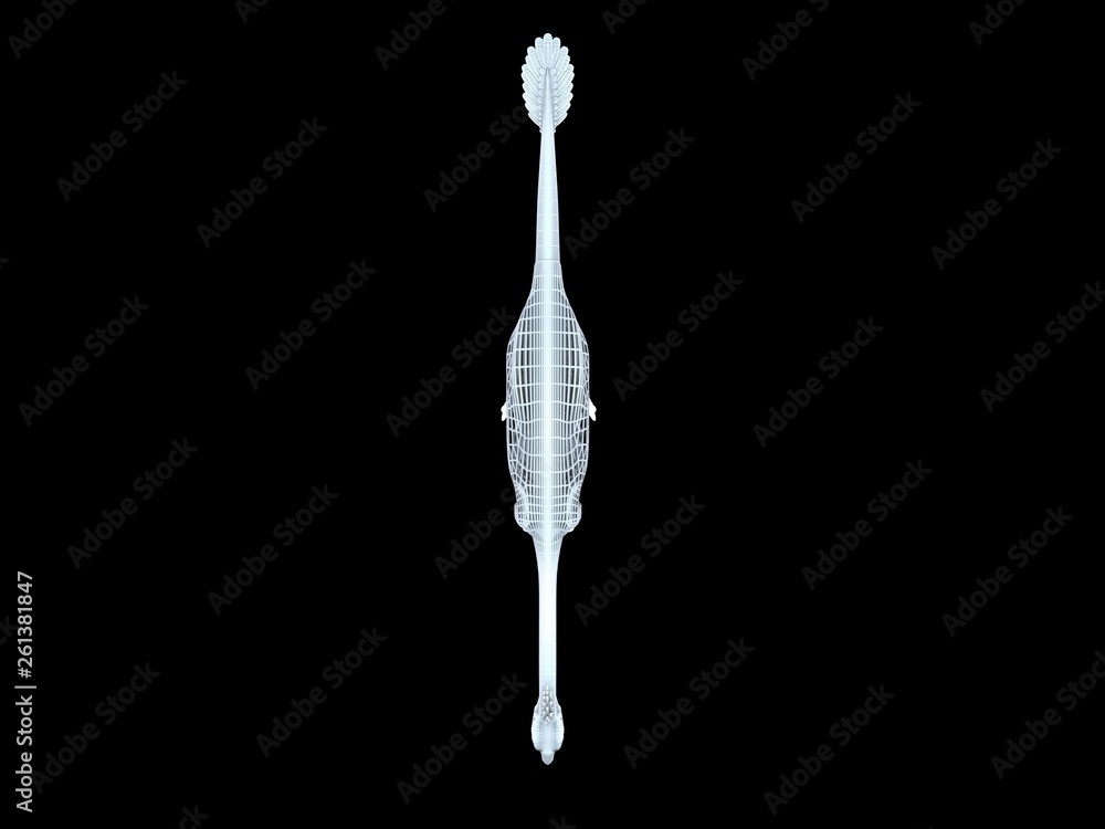 3d rendering of a white wired dino isoalted on black background 3d rendering of a white wired dino isoalted on black background