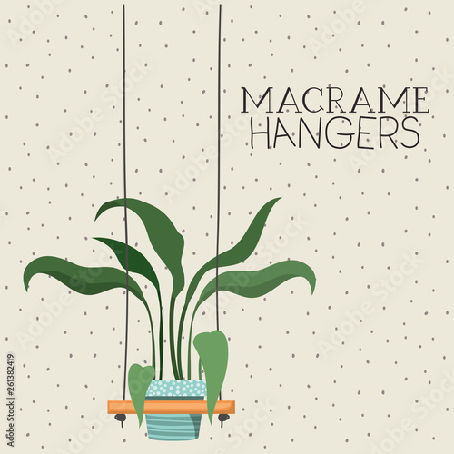 houseplant in macrame hangers