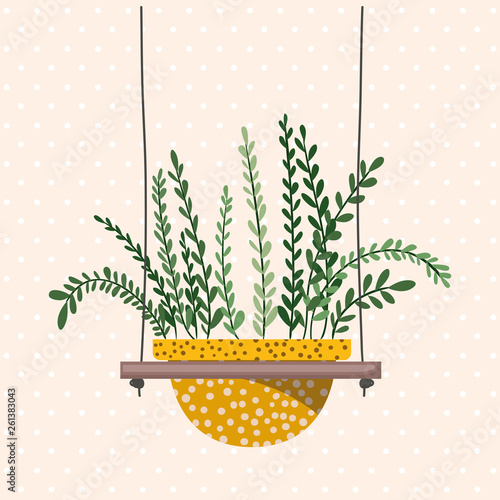 houseplant in macrame hangers