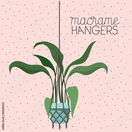 houseplant in macrame hangers