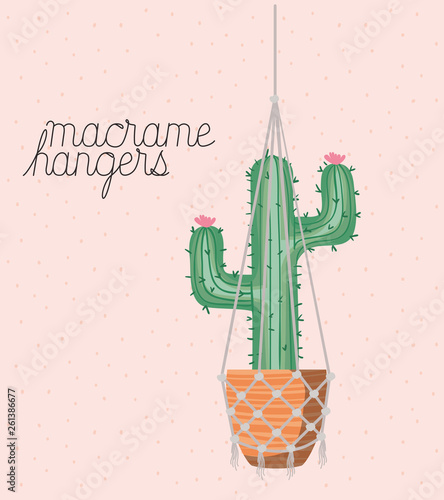 cactus houseplant in macrame hangers