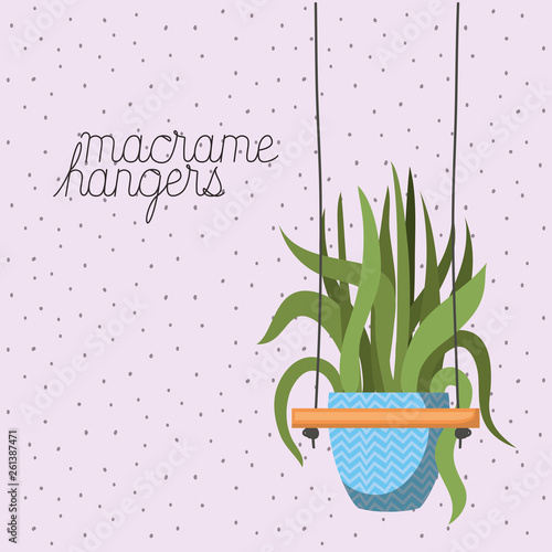 houseplant in macrame hangers