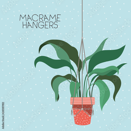 houseplant in macrame hangers