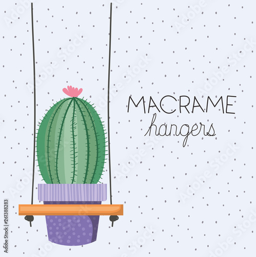 cactus houseplant in macrame hangers