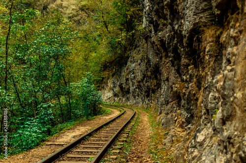 abandoned railway track in the autumn forest. the rocks of the mountains
