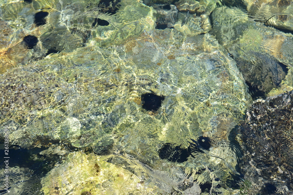 Texture of water. Abstract image of top view of shiny wave of clear sea water over sand beach, for beautiful background decoration of summer time. Game of light on the sea, sand beach . sea urchins. Texture of water. Abstract image of top view of shiny wave of clear sea water over sand beach, for beautiful background decoration of summer time. Game of light on the sea, sand beach . sea urchins.