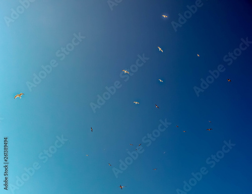 Cielo azul