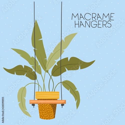 houseplant in macrame hangers
