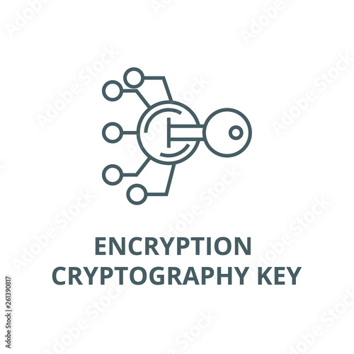 Encryption, cryptography key line icon, vector. Encryption, cryptography key outline sign, concept symbol, illustration