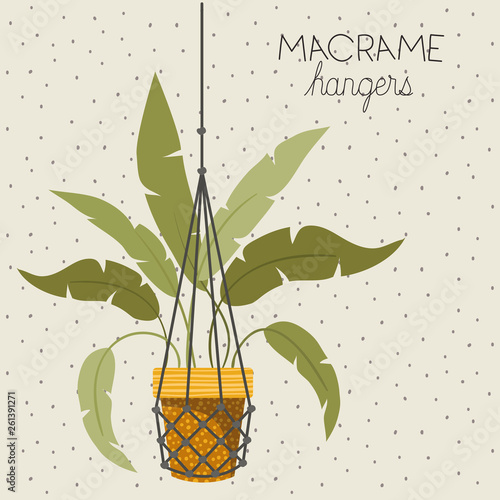 houseplant in macrame hangers