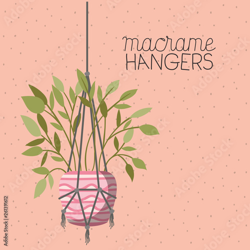 houseplant in macrame hangers