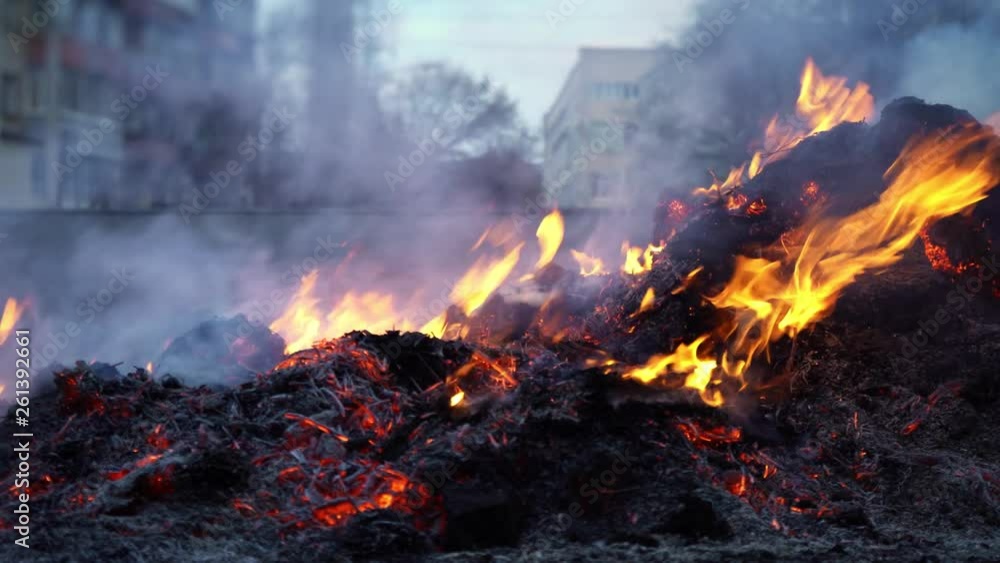 water,firewood,danger,flame,bonfire,campfire,climate,dark,destruction,fighting,firefighter,fireplace,fog,forest,nature,night,outdoors,red,safety,summer,town,tree,valley,village,engine,gear,truck,carbo water,firewood,danger,flame,bonfire,campfire,climate,dark,destruction,fighting,firefighter,fireplace,fog,forest,nature,night,outdoors,red,safety,summer,town,tree,valley,village,engine,gear,truck,carbo