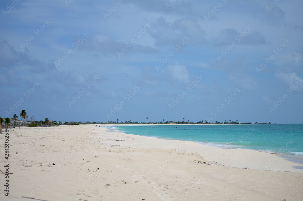 beach on the caribbean sea