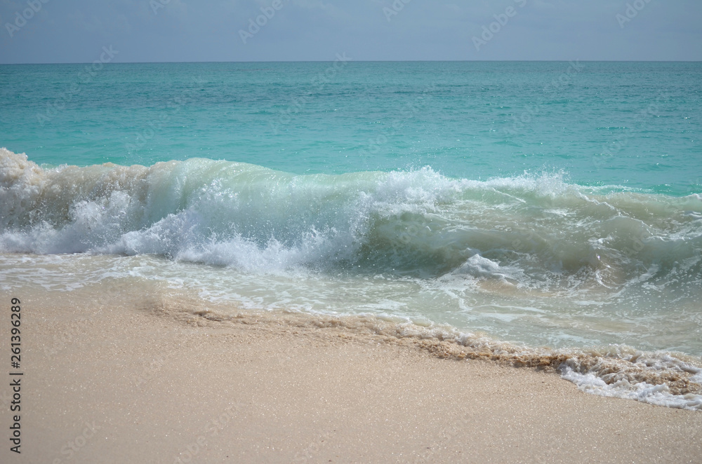 wave crashing along the shore on the island of barbuda