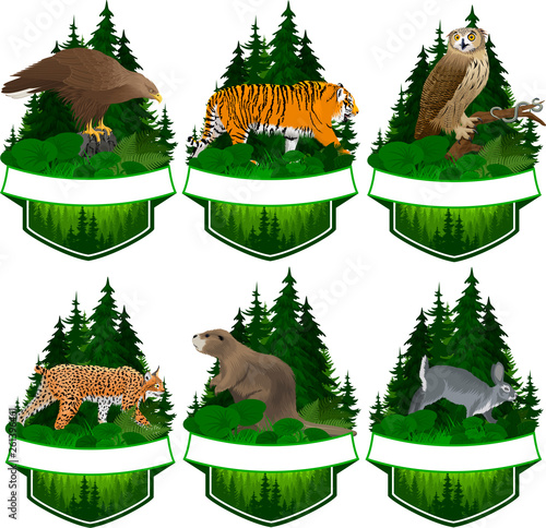 set of vector woodland emblems with beaver, rabbit, white-tailed eagle, lynx, tiger, eagle owl and Common garter snake
