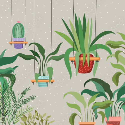 houseplants in macrame hangers garden scene