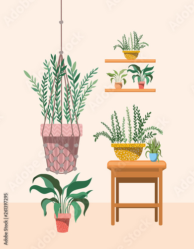 houseplants in macrame hanger and shelfs
