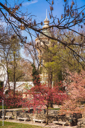 Canvas Print The ruins of an ancient Dominican monastery in the central park on the Margaret