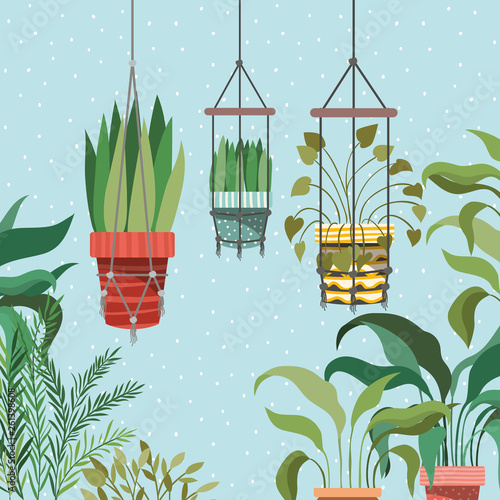houseplants in macrame hangers garden scene