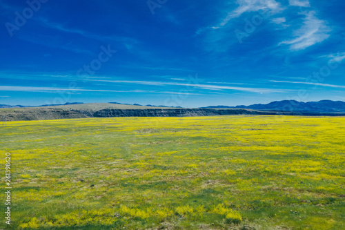 field and blue sky