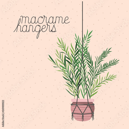 houseplant in macrame hangers