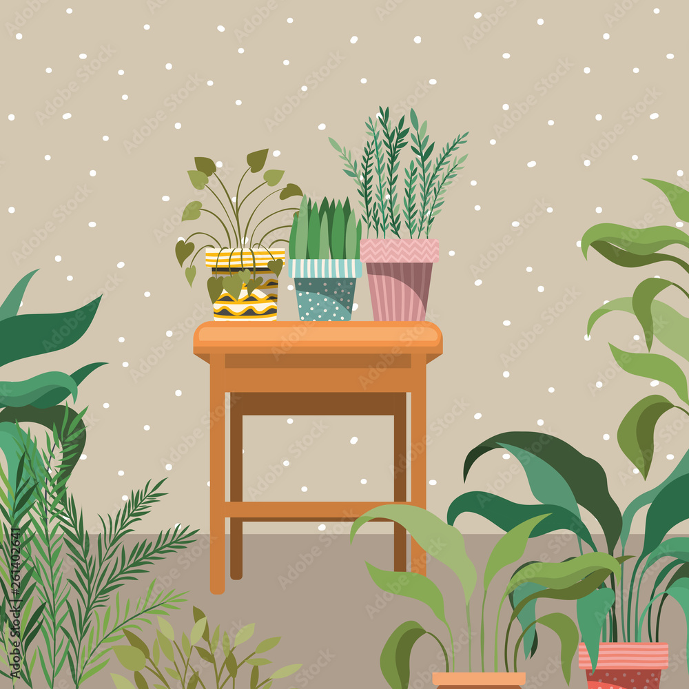 houseplants in wooden chair garden scene houseplants in wooden chair garden scene