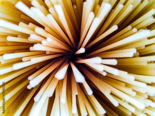 italian pasta on white background