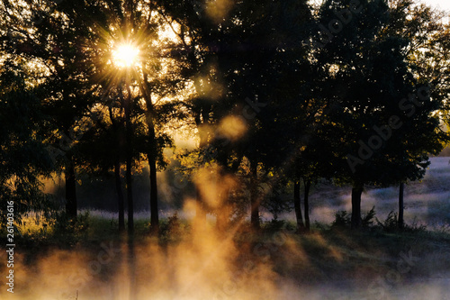 Beautiful serene landscape sunrise behind trees with steam from pond.