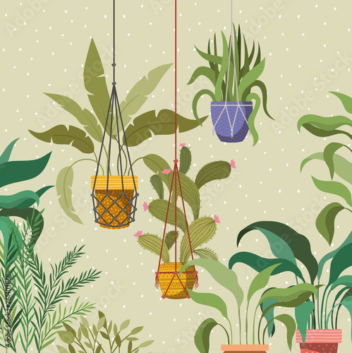 houseplants in macrame hangers garden scene