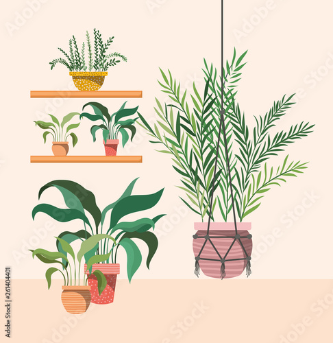 houseplants in macrame hanger and shelfs