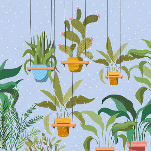 houseplants in macrame hangers garden scene