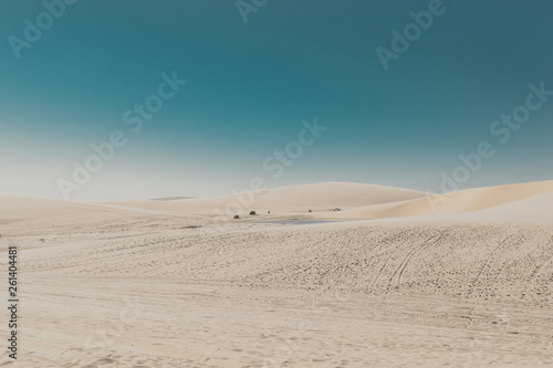 desert (ID: 261404481)