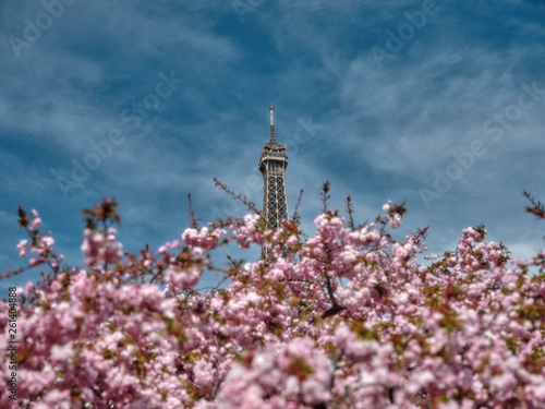 Paris tries blooming