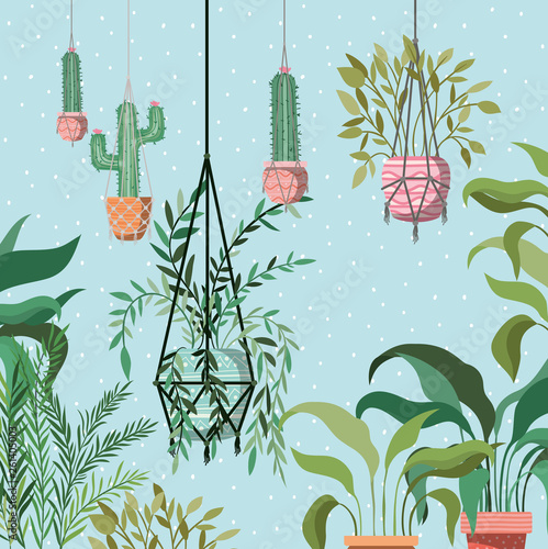 houseplants in macrame hangers garden scene