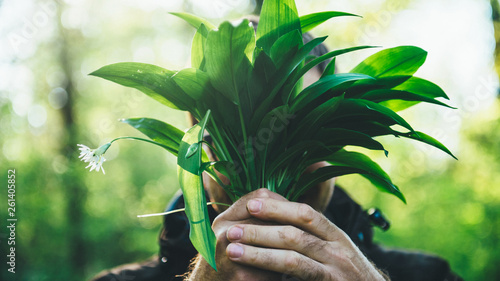 Fotografie Male silhouette hiding face behind fresh bounce of Allium ursinum wild garlic -