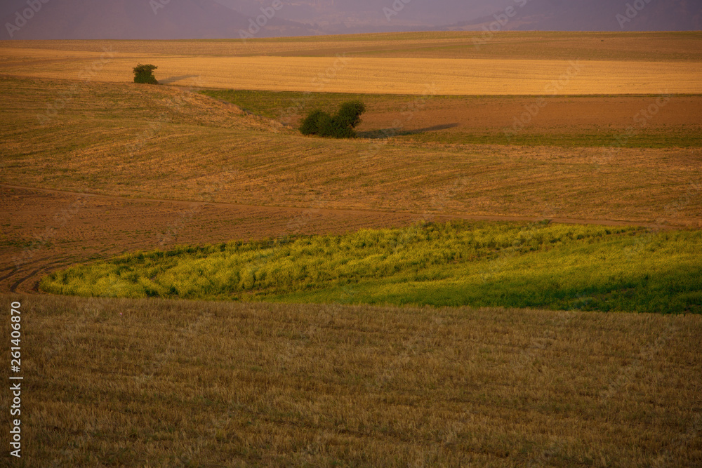 Campos de la ciudad