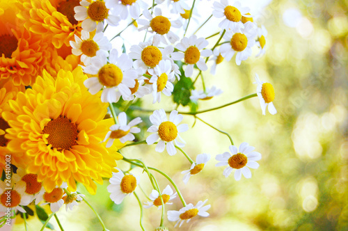 Bouquet of yellow Heliopsis helianthoides flowers and white camomile at blurred background with bokeh. © zlata_titmouse