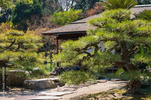 Stepping stones and nice formed pine trees in the japanese garden ,Shikoku,Japan