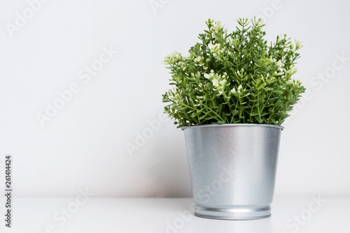 Green decorative plant in metal flower pot on white background with copy space