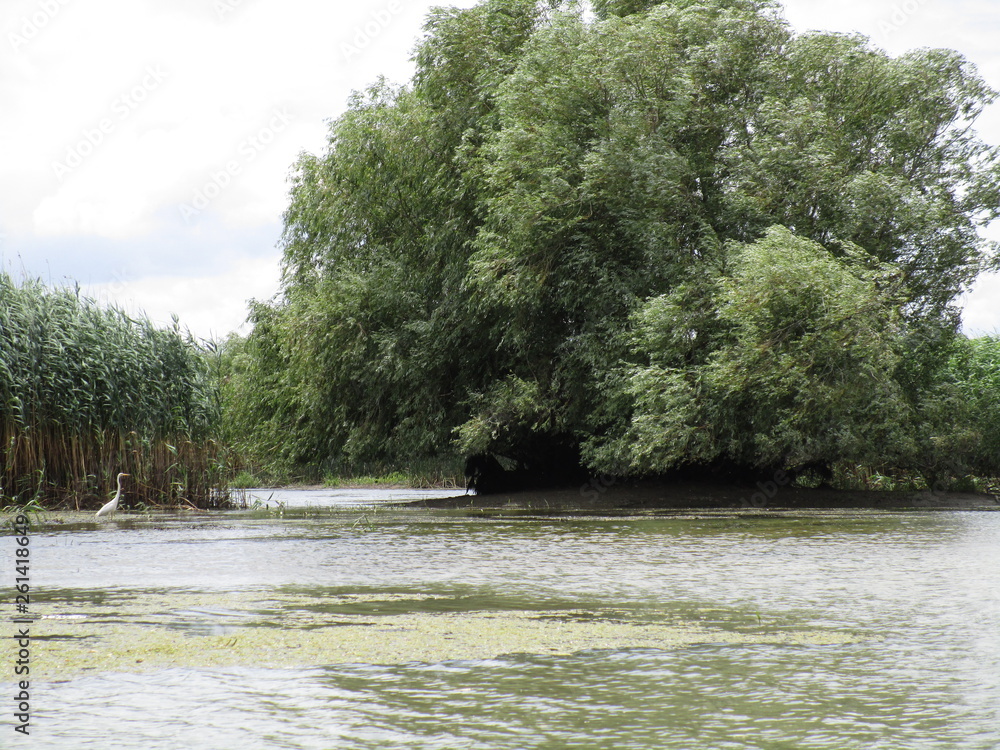 Danube Delta