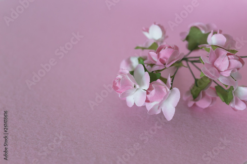 Delicate and decorative flower frame on pink background