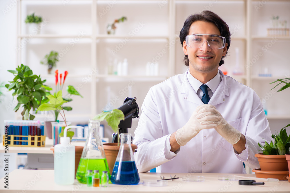 Fototapeta premium Biotechnology chemist working in lab