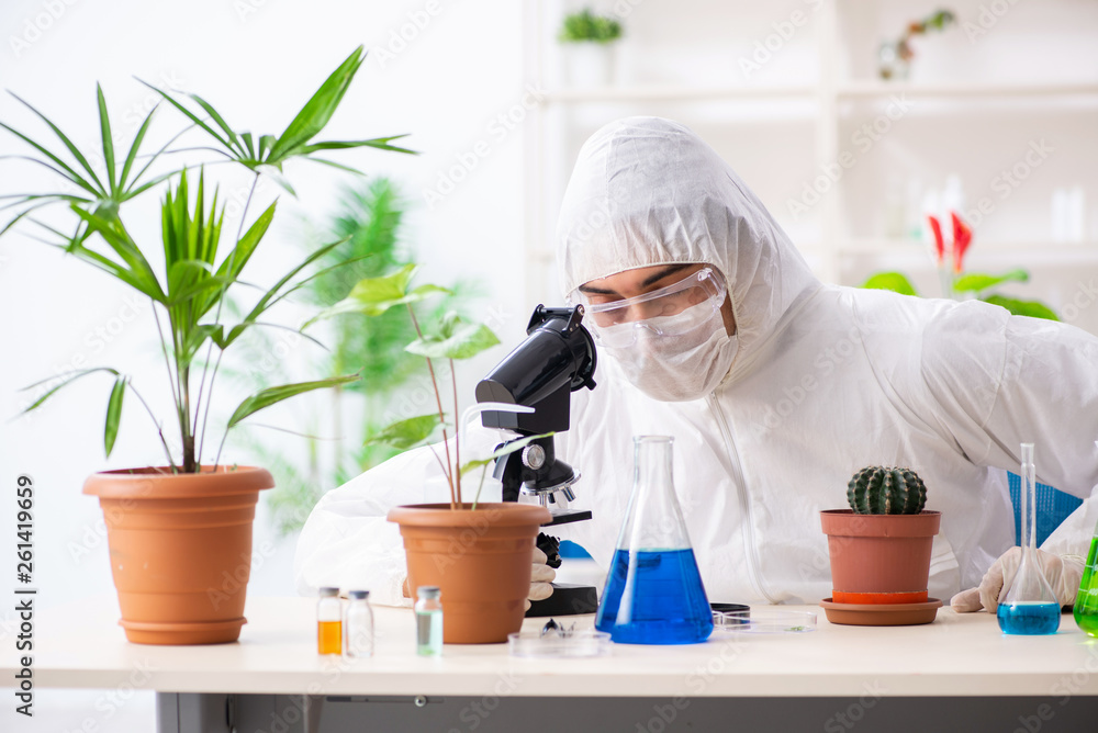 Biotechnology chemist working in lab Biotechnology chemist working in lab